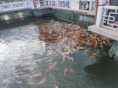 -长春市南湖公园