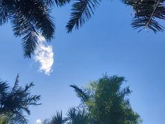 -上海玛雅海滩水公园