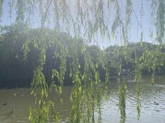 -扬州市茱萸湾风景区