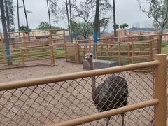 -武汉动物园