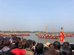 -溱湖国家湿地公园