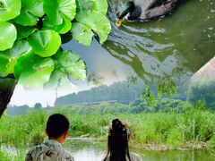 -前关湿地公园