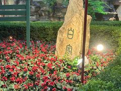 -白家大院·王府宫廷菜(苏州街店)