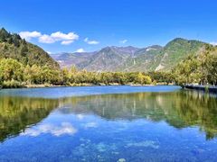 -芦芽山旅游度假区