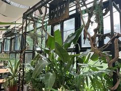 -北马山庄植趣咖啡