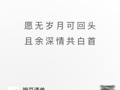 -BLACKSWAN黑天鹅(环球店)
