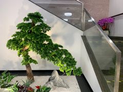 -大鸿运酒店·苏州菜·松鼠桂鱼(观前街店)
