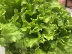 -韩时烤肉(丰科万达广场店)