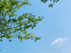 -楠溪江风景名胜区