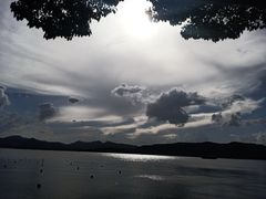 -杭州君悦酒店