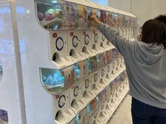-银座mall(东直门店)