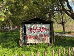 -东梓关景区村庄