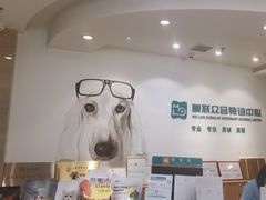 -美联众合动物医院·24h转诊中心