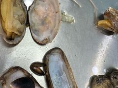 -旺角小渔村(幸福中路店)