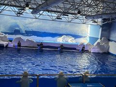 -秦皇岛乐岛海洋王国