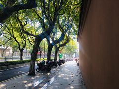 -苏州文庙(姑苏区)