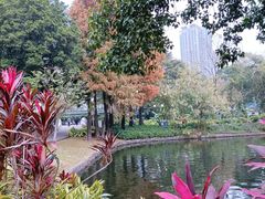 -晓港公园