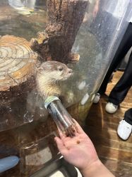 -Zoolung Zoolung动物主题公园(海信广场店)