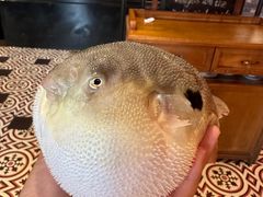 -永安鱼庄·镇江菜(丁卯店)