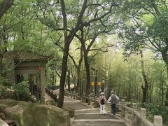-灵岩山风景区