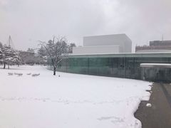 -金泽21世纪美术馆