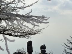 -崂山巨峰游览区