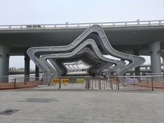 -演武大桥观景平台
