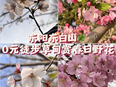 -东白山