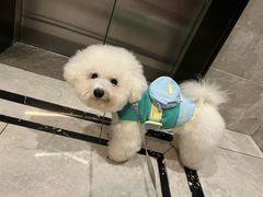 -帕帕拉兹宠物(亚洲旗舰店)