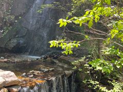 -本溪汤沟绿石谷森林公园