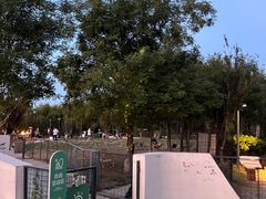 -爪吧宠物乐园 (温榆河示范区店)