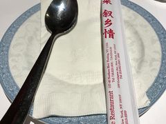 -湘水山庄