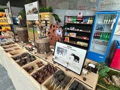 -北京周口店北京人遗址博物馆