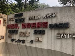 -顺峰山公园