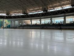 -世界之窗阿尔卑斯冰雪世界