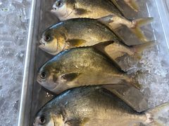 -Isla Sugbu Seafood City