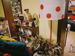 -Oolong乌龙茶古着店