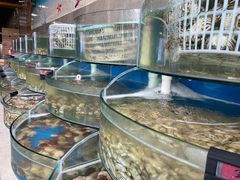 水产区-蓝珊甄选海鲜自助·火锅大排档(近阿那亚店)