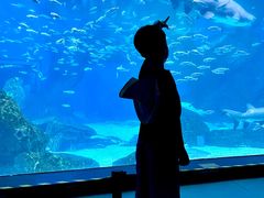 -海合安成都极地海洋公园