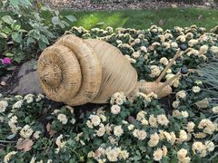 -上海共青森林公园