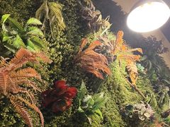 -味之绝热血美蛙鱼火锅(中坝店)