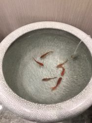 -传世玉颜专业祛痘·问题肌