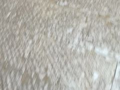 -西侯度遗址
