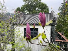-广州神农草堂中医药博物馆