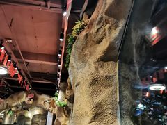 -愿者上钩(龙华华润万家店)