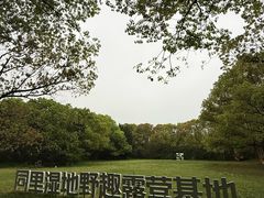 -同里国家湿地公园