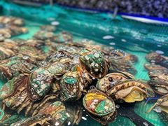 -初色海鲜自助(万丰路店)