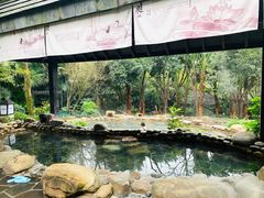 -融汇温泉