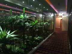-世外桃源水疗会(皇庭彩园店)