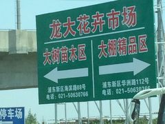-龙大花卉苗木市场